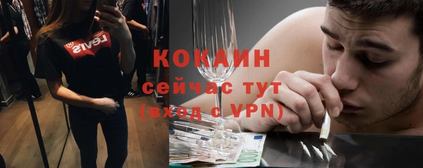 jwh Ельня