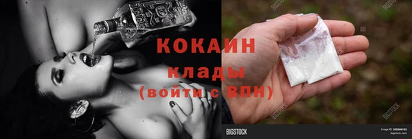 ALPHA PVP Елизово
