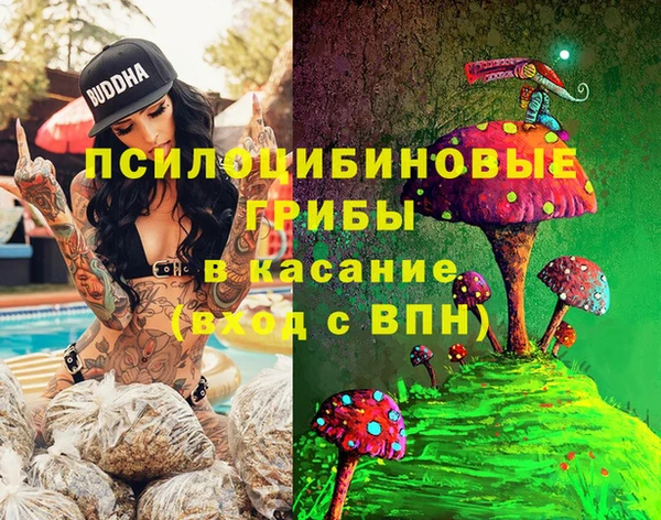 ALPHA PVP Елизово