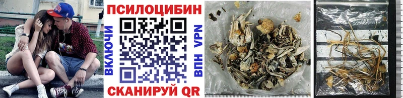 Галлюциногенные грибы Cubensis  Полесск 